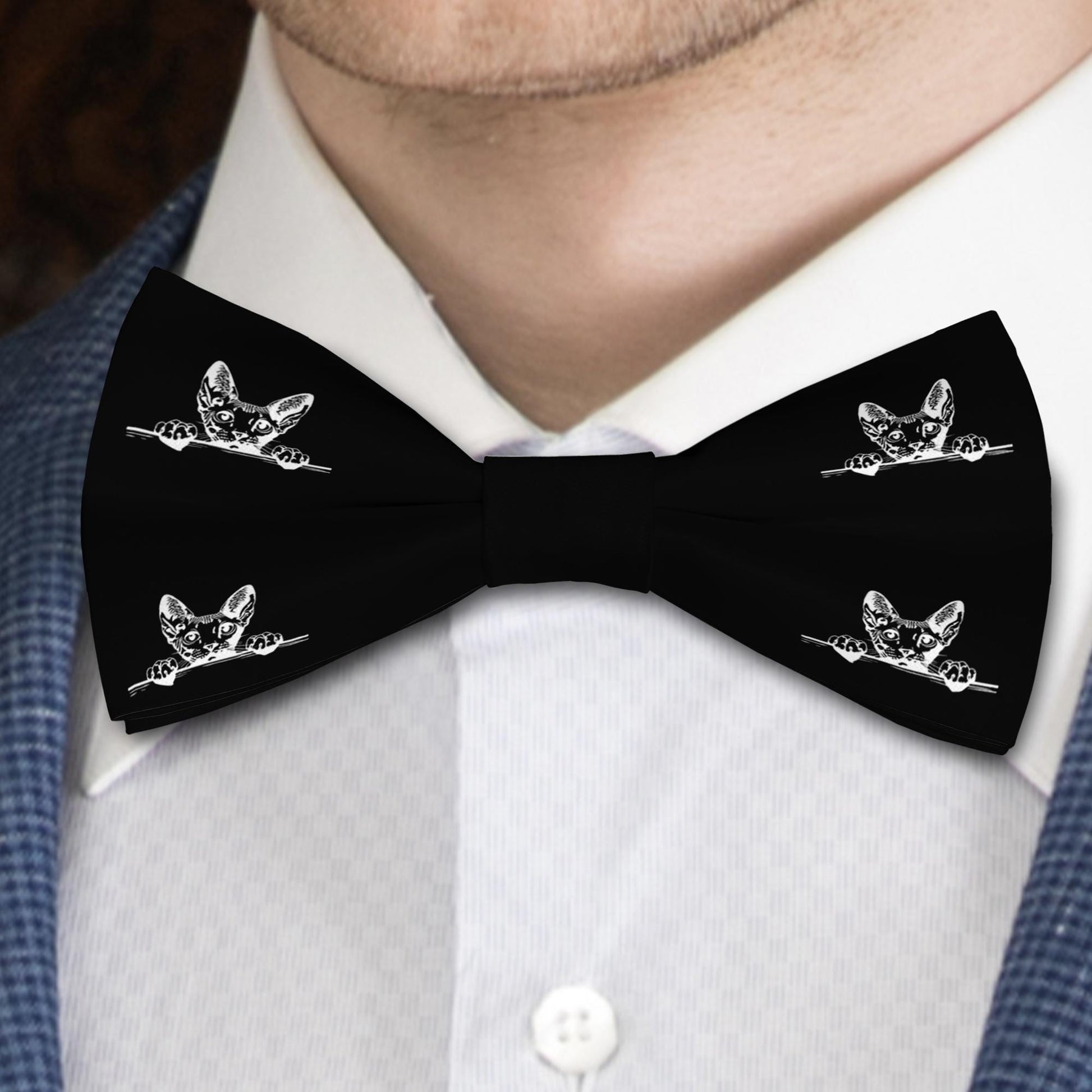 Cornish Rex Cat Bow Tie, Handmade Stylish Pet Accessory, Gift for Cats Lovers Bowties