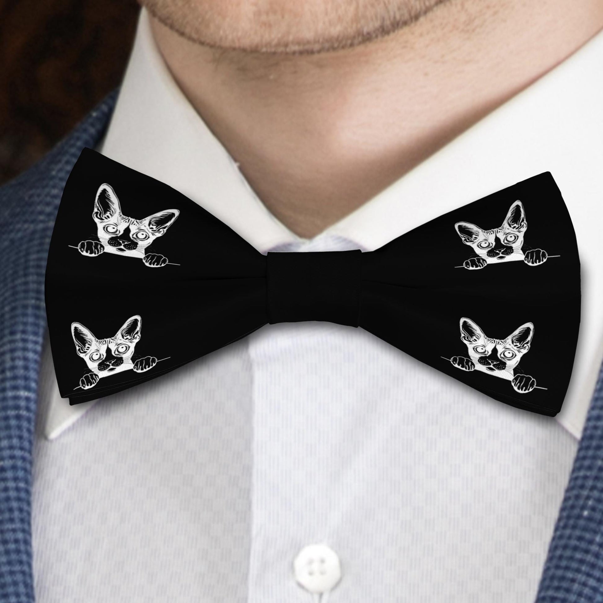 Cornish Rex Cat Bow Tie, Handmade Stylish Pet Accessory, Gift for Cats Lovers Bowties